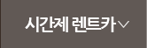 시간제렌트카