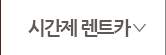 시간제렌트카